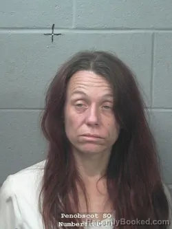 Mugshot of HEATHER A WATSON booked in Penobscot County, Maine on April 29, 2026