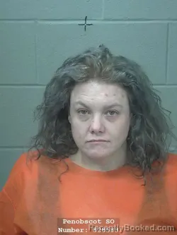 Mugshot of AMANDA L MCINTIRE