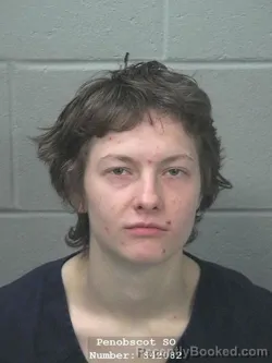 Mugshot of LAURIE SHARON ANTONIA BOURASSA