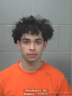 Mugshot of NICK MORGAN