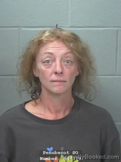 Mugshot of Regina Carol Vandelay booked in Penobscot County, Maine on September 1, 2026
