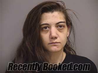 Booking photo from Somerset County, Maine