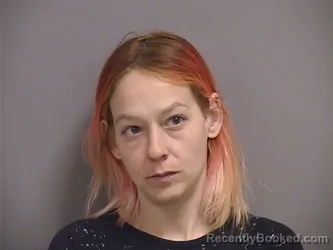 Mugshot of TONI ANN MARIE KING