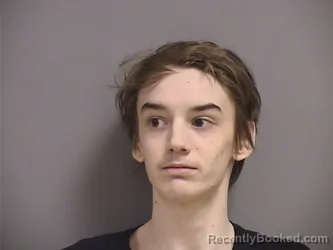 Mugshot of JR MCDOUGAL