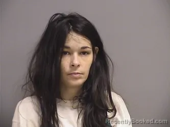 Mugshot of HEATHER L CUNNINGHAM booked in Somerset County, Maine on March 25, 2026