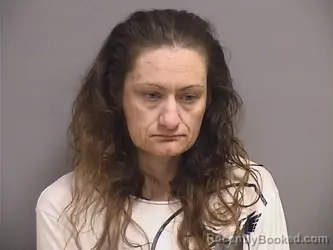 Mugshot of KRISTA MARIE ROBINSON booked in Somerset County, Maine on April 14, 2026