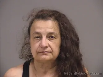 Mugshot of CHERYL ANN BRIGGS booked in Somerset County, Maine on April 15, 2026