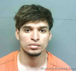 Mugshot of WALTER ARMANDO RIVAS