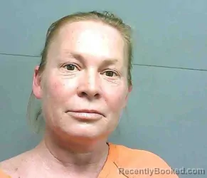 Mugshot of MELANIE LEIGH ZINGARELLI