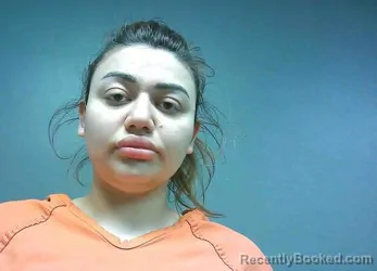 Mugshot of ANNA DASHCHENKO