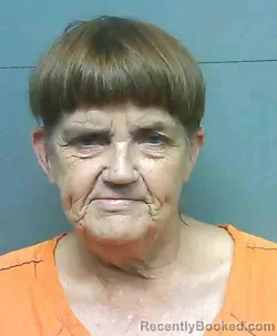 Mugshot of JO HELEN LEMIEUX booked in Franklin County, Florida on June 15, 2026