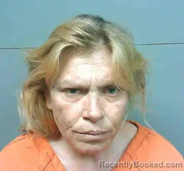 Mugshot of TRACY JO NOWLING