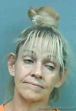 Mugshot of Dana Denise Aponte booked in Franklin County, Florida on August 6, 2026
