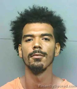 Mugshot of JOHNNY LEE JONES booked in Franklin County, Florida on July 8, 2026