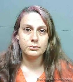 Mugshot of SAMANTHA ERIN HUDSON