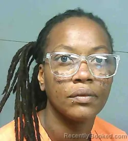 Mugshot of Krystle Donjuanita Davis booked in Franklin County, Florida on August 25, 2026