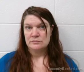 Mugshot of TANYA RENEE SAVILLE booked in Allegany County, Maryland on March 31, 2026