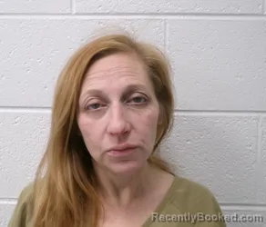 Mugshot of HEATHER MARIE VINEY