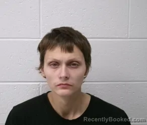 Mugshot of DREZDIN JOSE DELGADO