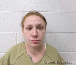 Mugshot of SHANTAY LORRAINE SHOOK booked in Allegany County, Maryland on April 23, 2026