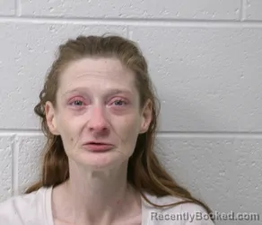 Mugshot of CRYSTAL MARIE PETTIE