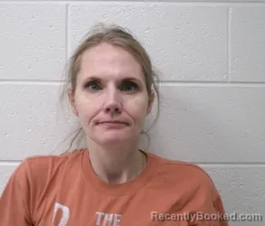 Mugshot of JAMI LARAINE ANDERSON