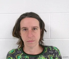 Mugshot of THERESA MARIE BAILEY booked in Allegany County, Maryland on April 27, 2026