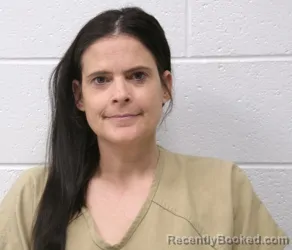 Mugshot of ANNESSA DIANN STAHLMAN