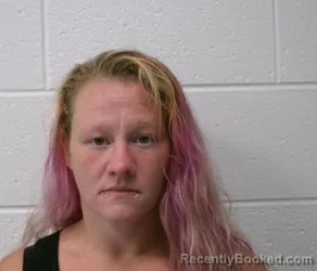 Mugshot of CHRISSA ANN STANTON booked in Allegany County, Maryland on July 7, 2026