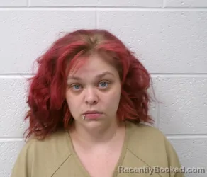 Mugshot of ASHLEY DANIELLE VINCENT booked in Allegany County, Maryland on July 26, 2026