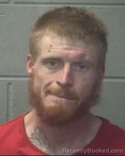 Mugshot of REGINALD ADAM MORTON