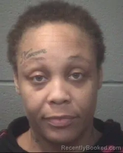 Mugshot of ASHLEY INEZ MAGEE booked in Onslow County, North Carolina on March 14, 2026