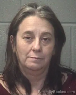 Mugshot of WANDA LYNN SCONYERS