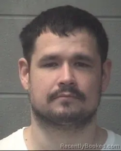 Mugshot of MORGAN AJ MCGHEE