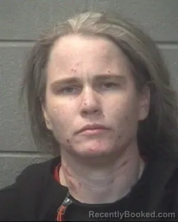 Mugshot of ANGELA KATHLYN BRIDGMAN booked in Onslow County, North Carolina on April 26, 2026