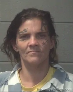 Mugshot of AMBER RAE MIDGETT booked in Onslow County, North Carolina on July 28, 2026