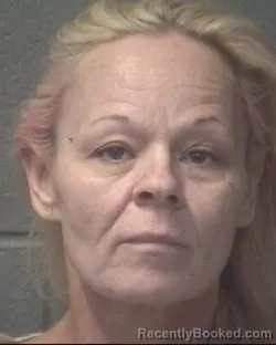 Mugshot of MELISSA STILLEY CAHOON