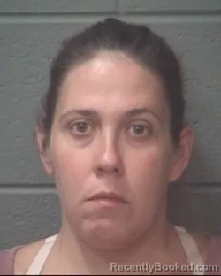 Mugshot of CHRISTY ANN LEE