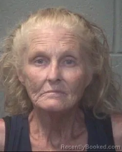 Mugshot of KATHERINE ANN ELKASRY booked in Onslow County, North Carolina on May 19, 2026