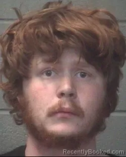 Mugshot of JULIOUS THOMAS WHEELER