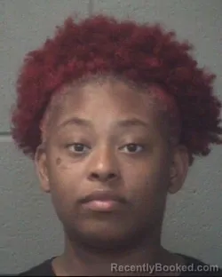 Mugshot of Ashaya Mariah Young booked in Onslow County, North Carolina on September 13, 2026