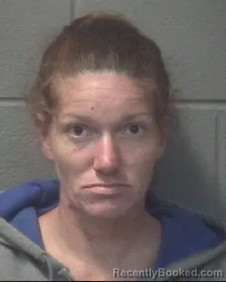 Mugshot of ROBIN RENEA MCLAIN booked in Onslow County, North Carolina on June 29, 2026