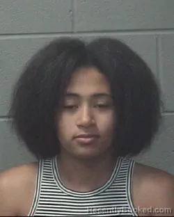 Mugshot of Janelle Shirelena Wilson booked in Onslow County, North Carolina on September 30, 2026