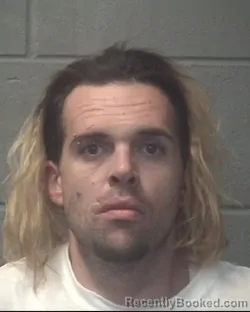 Mugshot of CAMERON LEE ROBERTS