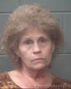 Mugshot of LYNDA FARRELL WILLIAMS