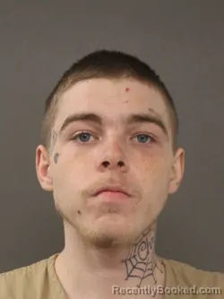 Mugshot of HARLEY JAMES ETTER