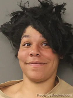 Mugshot of GLORIANNIE ROSARIO