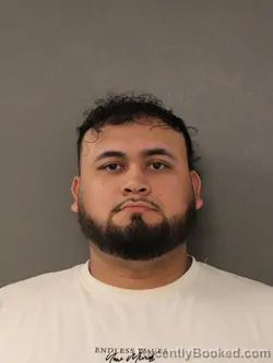 Mugshot of HARRY ELIAZAR ORELLANA TURCIOS booked in St Marys County, Maryland on June 11, 2026