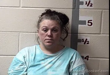 Mugshot of ANGELA FAITH DIGGS booked in Somerset County, Maryland on April 1, 2026