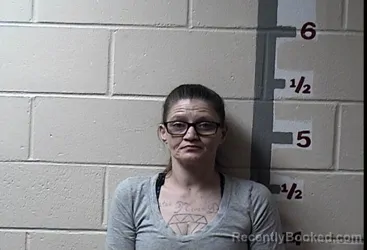 Mugshot of HEATHER NICHOLE LAMBERTSON booked in Somerset County, Maryland on April 17, 2026